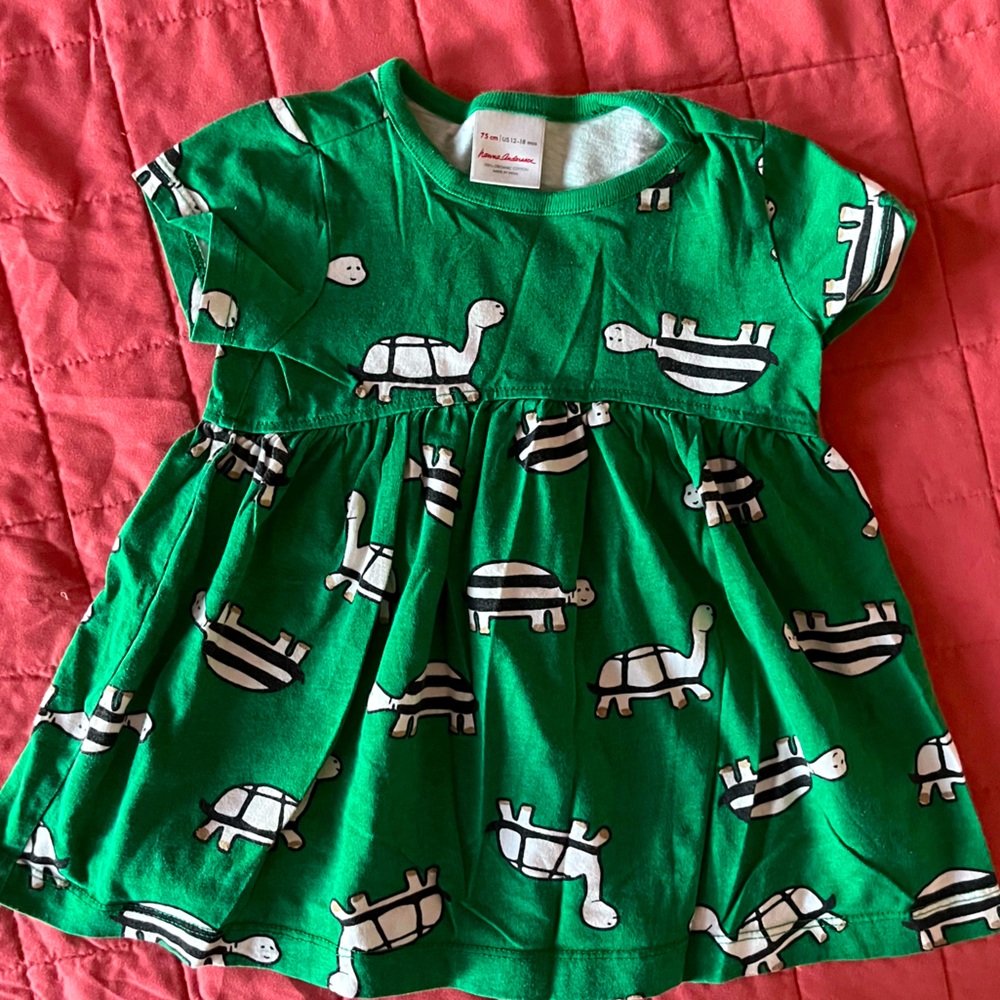 Hanna Andersson turtle dress